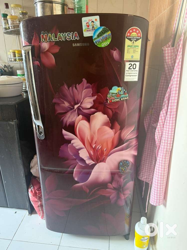 Fridge and other just a year old