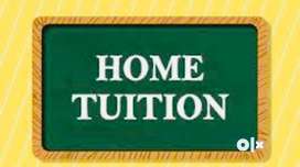 Home tuitions for lkg school kids upto 10th and btech CSE students.