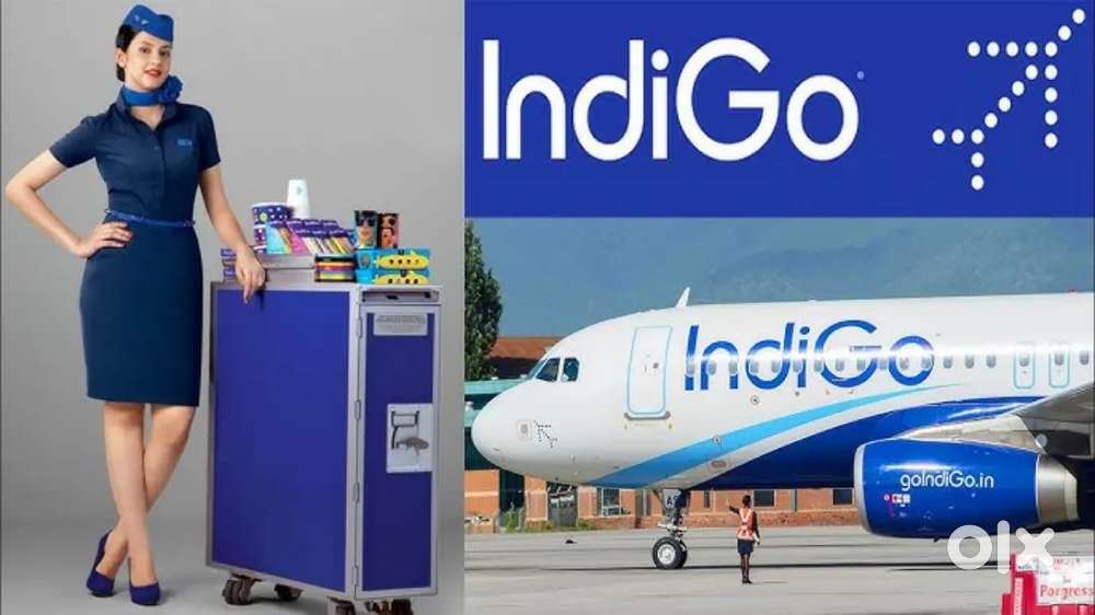 Indigo Airlines jobs Vacancy for Airport Ground staf/Driver/Cabin Crew