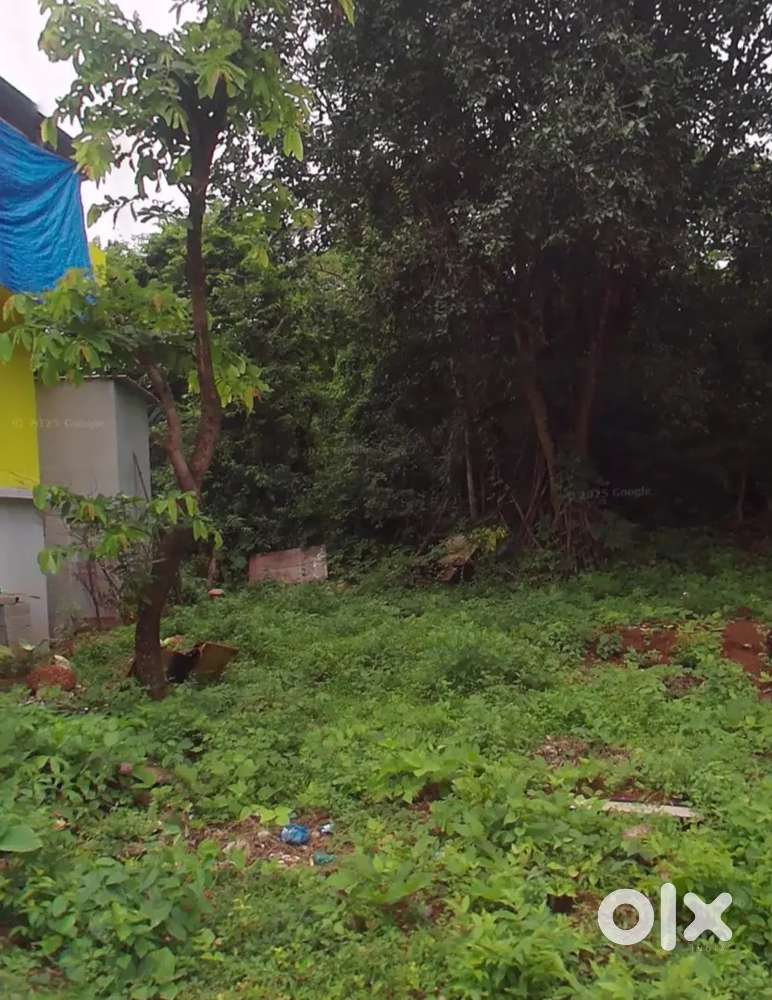 SETTLEMENT PLOT AT MAINA SIOLIM