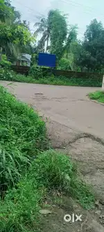 House plot