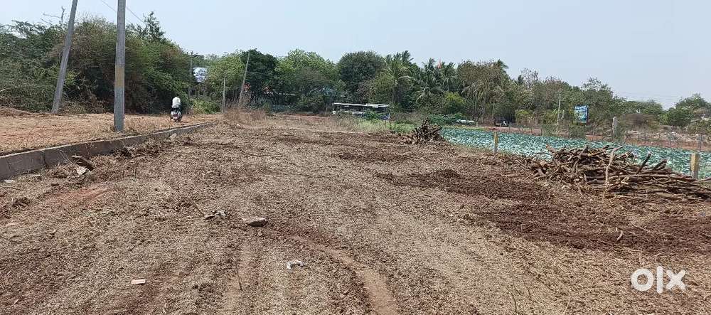 Plot no:6 and 7 ; 5.5 cents will be sale