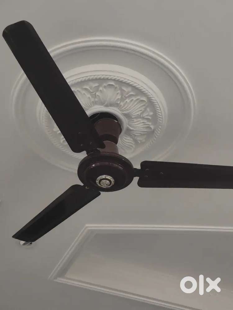 Ceiling fans