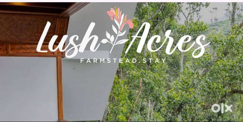 Farmstay Caretaker Required – Full-Time Position
