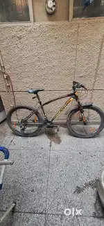 Kross adult cycle