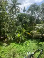 House plot for sale 10 cent near narath main road