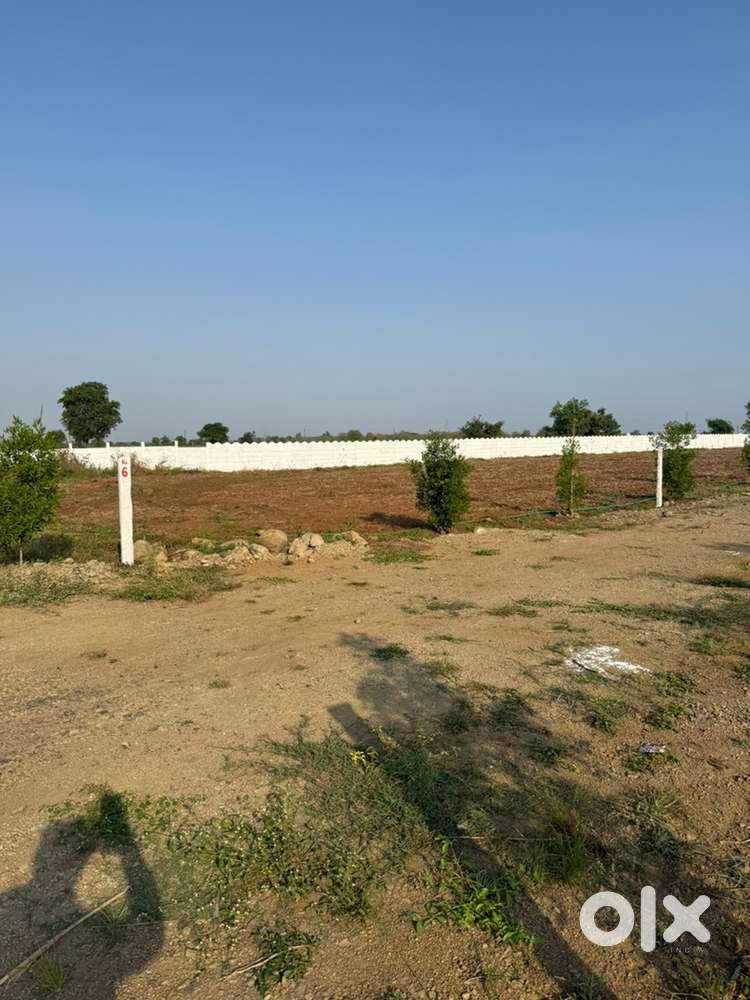 Kalash form barkhedi abdullah shuki sawaniya bhopal