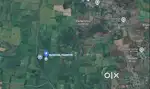 Agriculture land