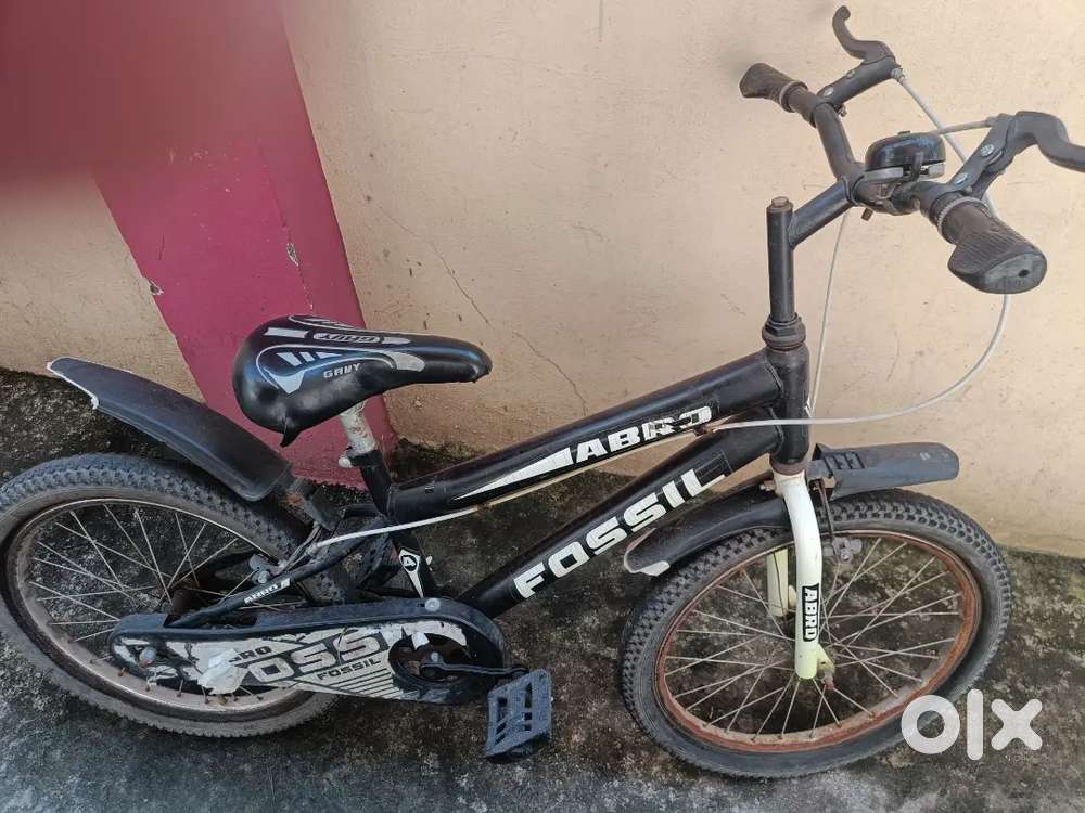 Fossil kids cycle in excellent condition