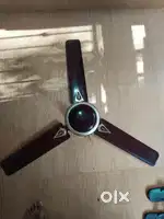 Usha Ceiling Fan