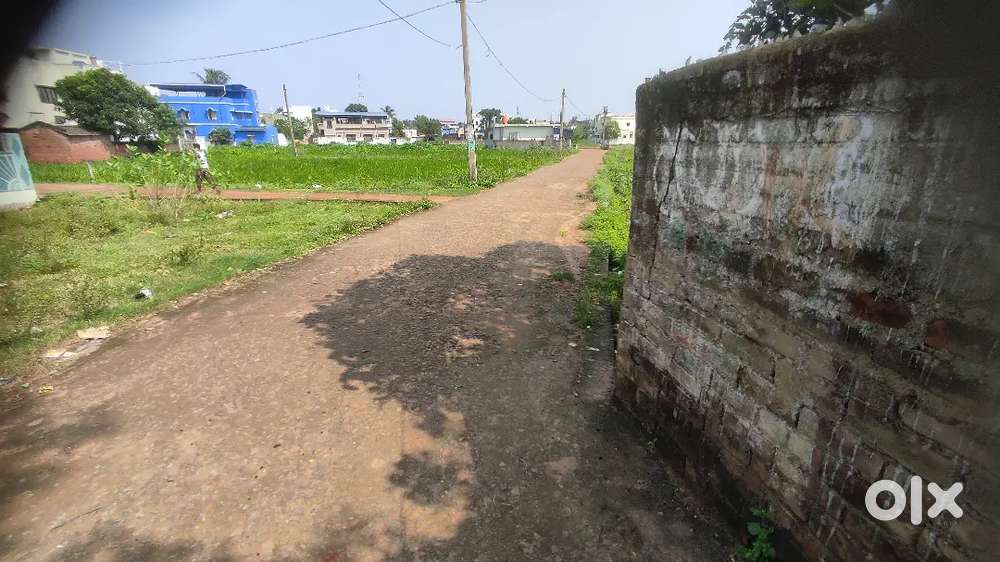 Taal jhuli near st Mary's school