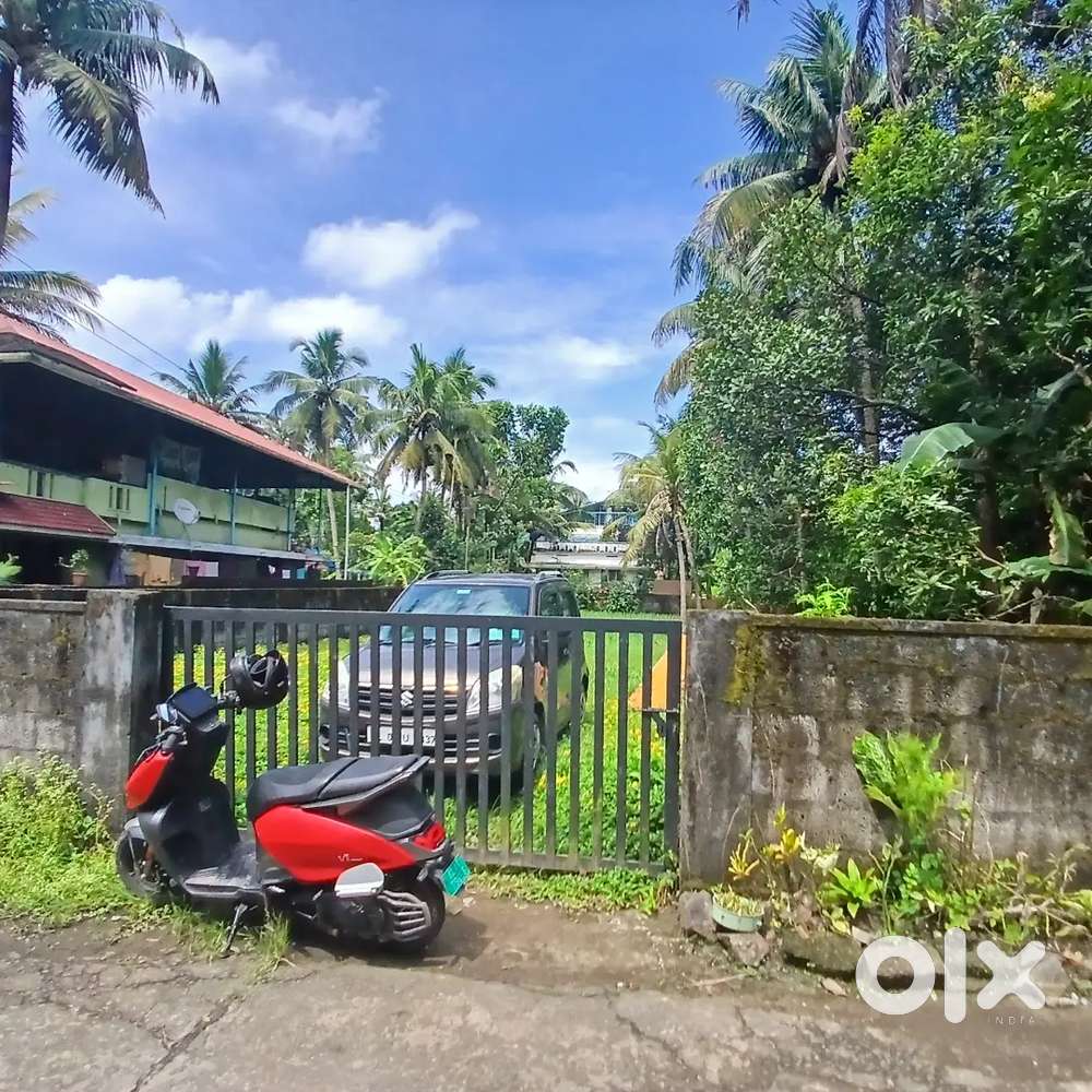 Aluva west kadungalloor,10cent land