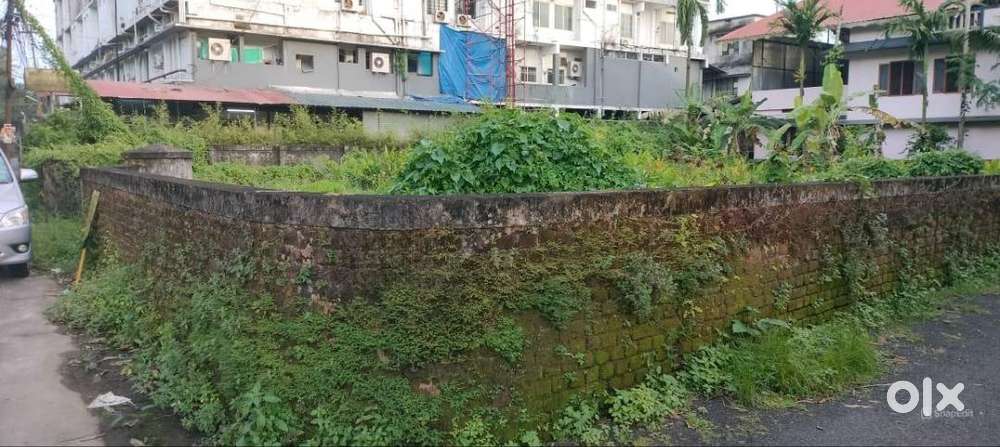 Residential/commerical land-13 cent for sale near Metro Hospital, TSR