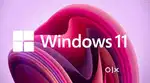 Windows Os or Other Os service available software also