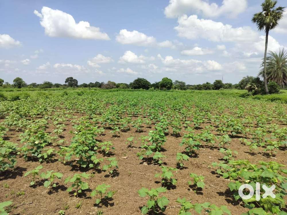 Agricultural land near vikarabad