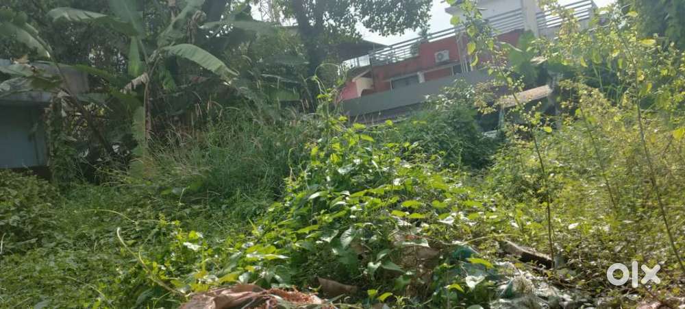 3.70 cents Residential  land for sale at  Thevara