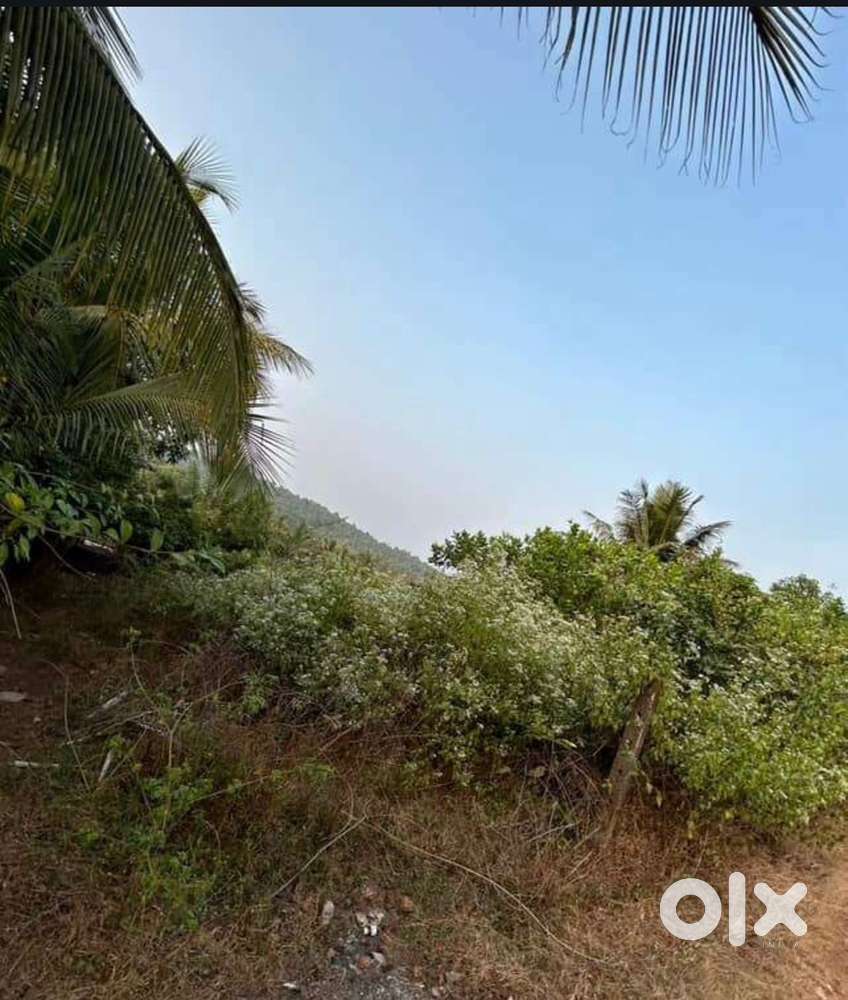 orchard plot for sale