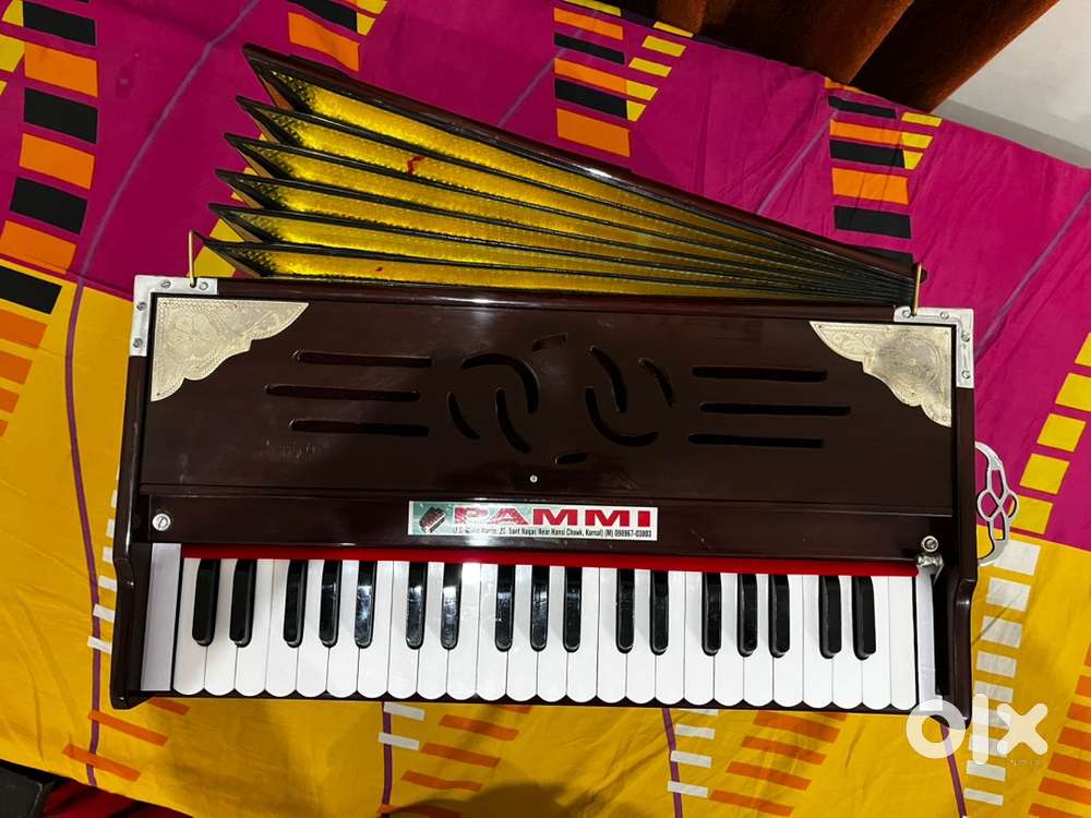 Palitana star premium Male male female three line Branded Harmonium