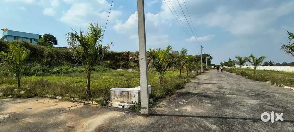 Budject friendly with all approval