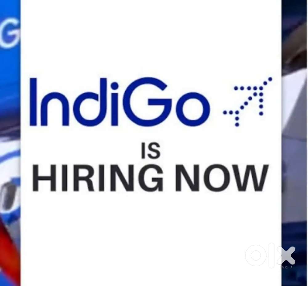 Ground Staff jobs in indigo Airlines urgent hiring