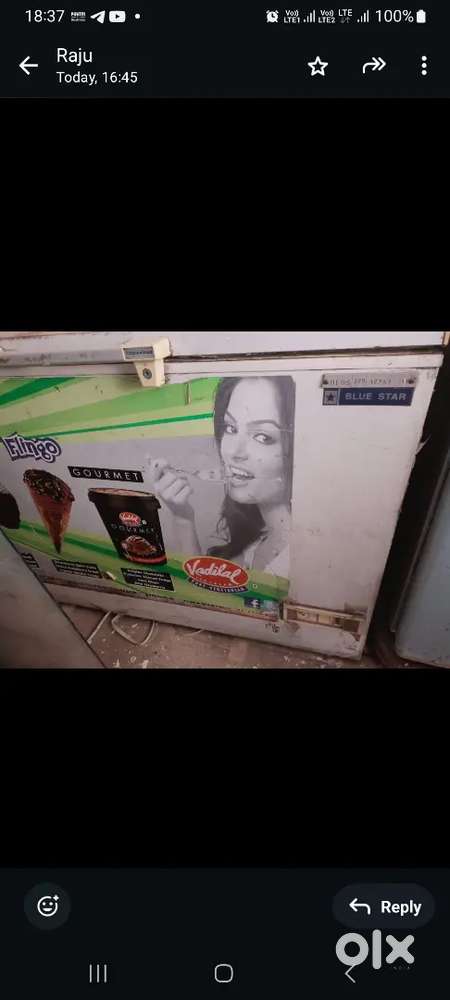 3yrs old blue star dee fridge 380ltr ice creme fridge