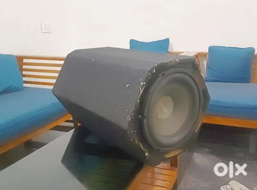 Car subwoofer 12
