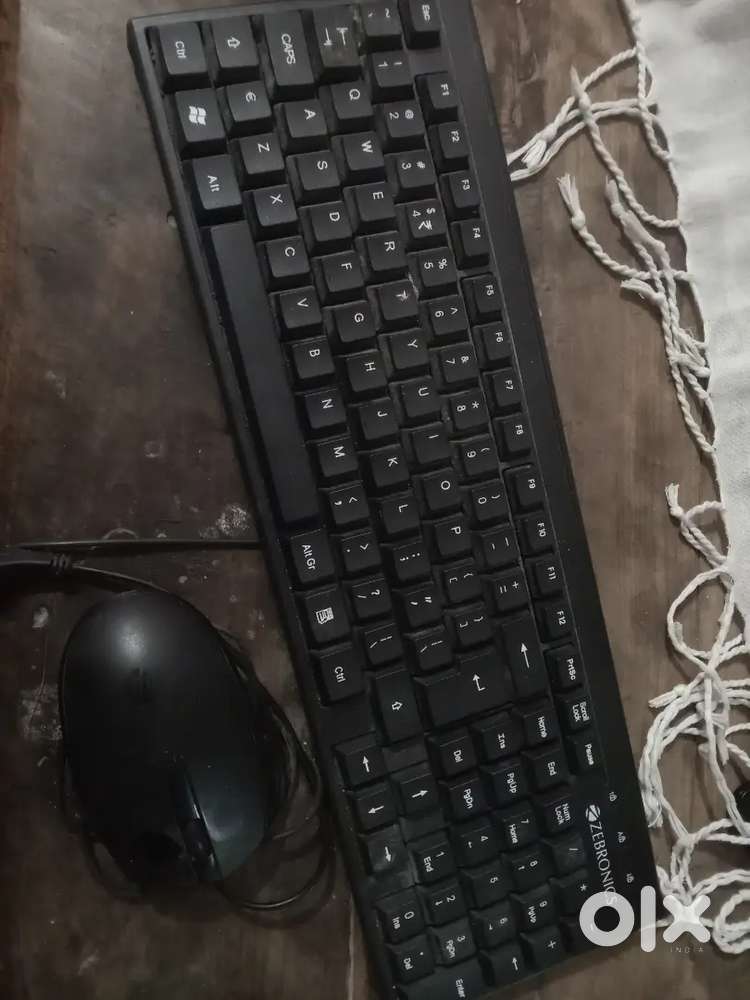 Mouse and keyboard