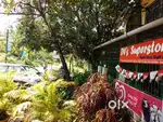 Shops for Rent