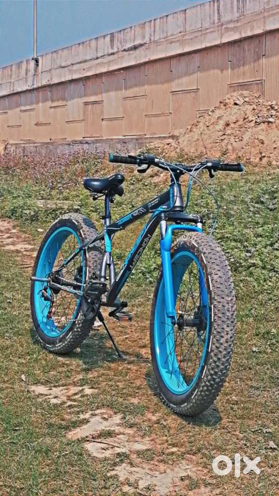 Fat tyre cycle
