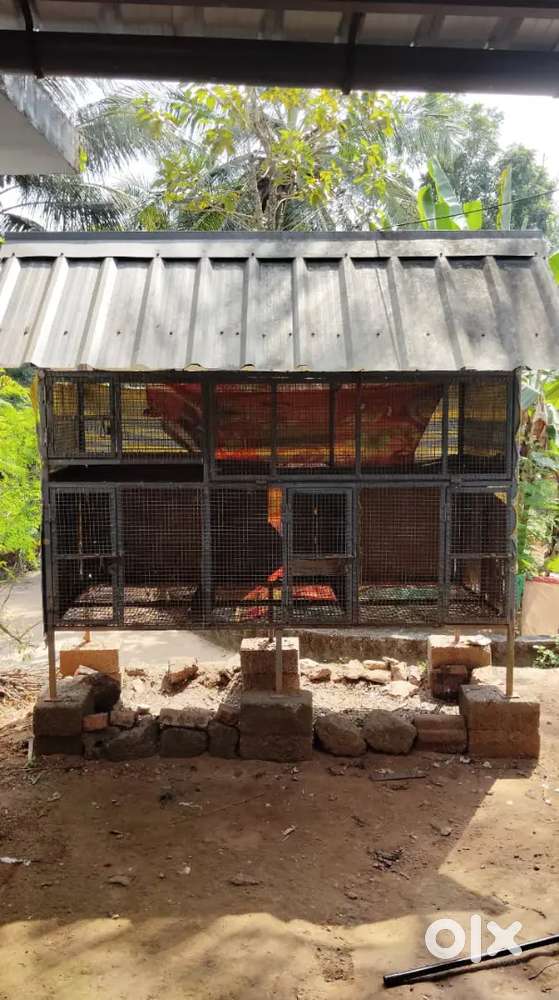 മെറ്റൽ കോഴി കൂട് വിൽപ്പനയ്ക്ക്”