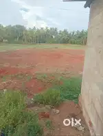 Looking for agriculture land