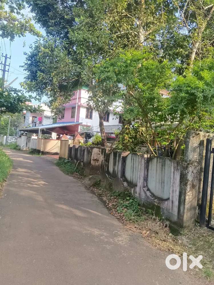 MUNDUR NEAR CHURCH 10 CENT PLOT FOR SALE