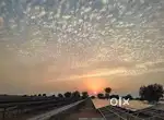 Cook ki jrurt h