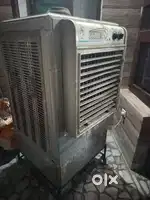 Cooler Golden Company