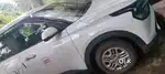 Kia Carens 2024 Petrol Well Maintained