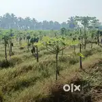Agriculture land just 40 lack per acre