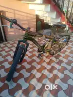 Roadkiller MTB cycle Single speed