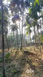 Plot in Salwadi, Koteshwar, Kundapur, Karnataka