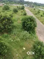 Plot sale near Tagarapuvalasa