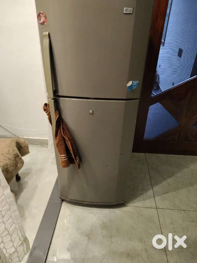 Lg double door
