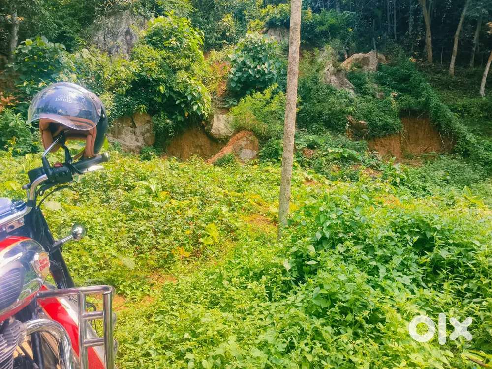 Plat for sale cherukodu (Vilappilshala)