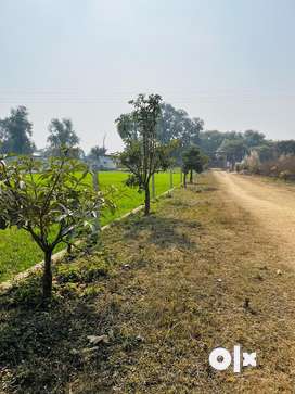 1 km from 6 lane Ganga Expressway