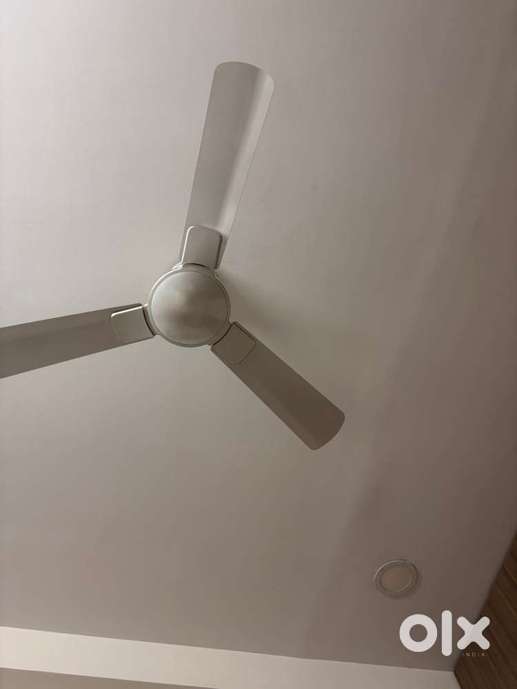 Ceiling fan Havells Enticer