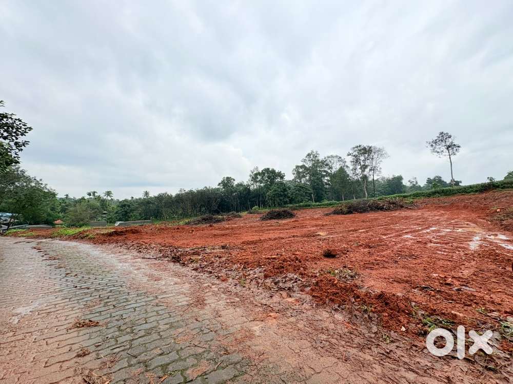 Residential Plots for Sale in Thiruvaniyoor