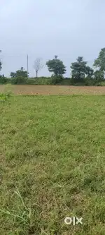 Gharabari plot urgent sell 5000 sqft