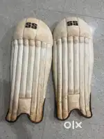 Wicket keeping pad