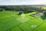13 cent land for sale