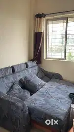 Premium sofa cum bed