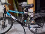 6 months old  for sale at rs 3800