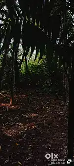 Plot for sale